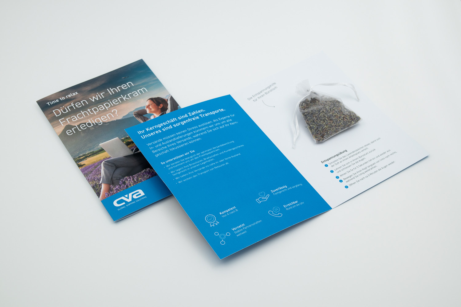 CVA Management & Consulting AG – Projektansicht 1