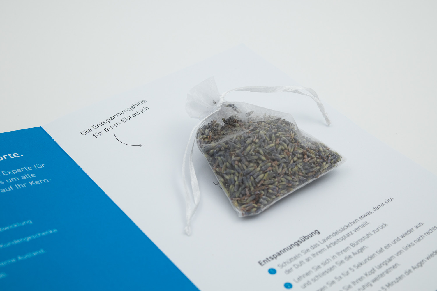 CVA Management & Consulting AG – Projektansicht 2
