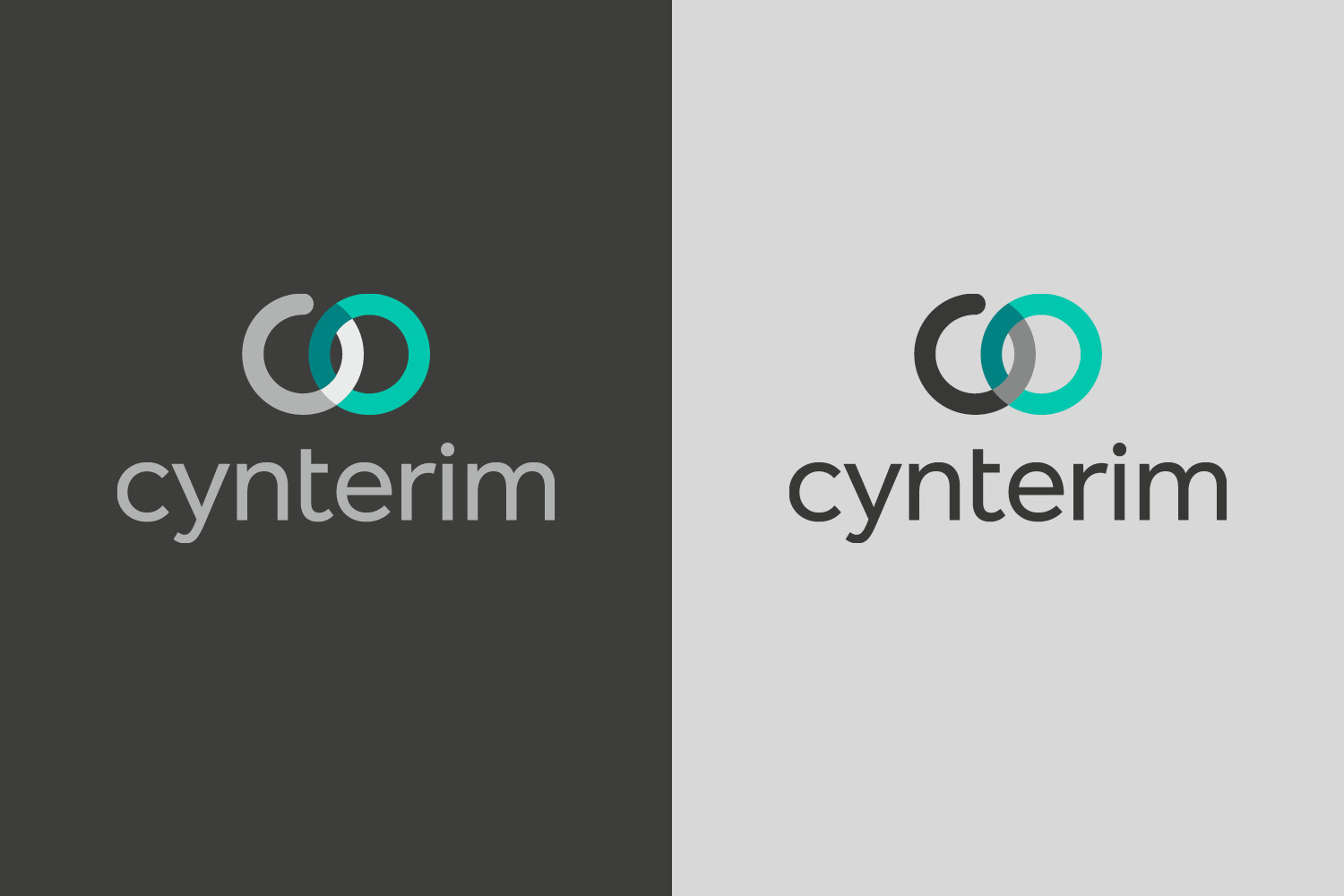 Cynterim – Projektansicht 2
