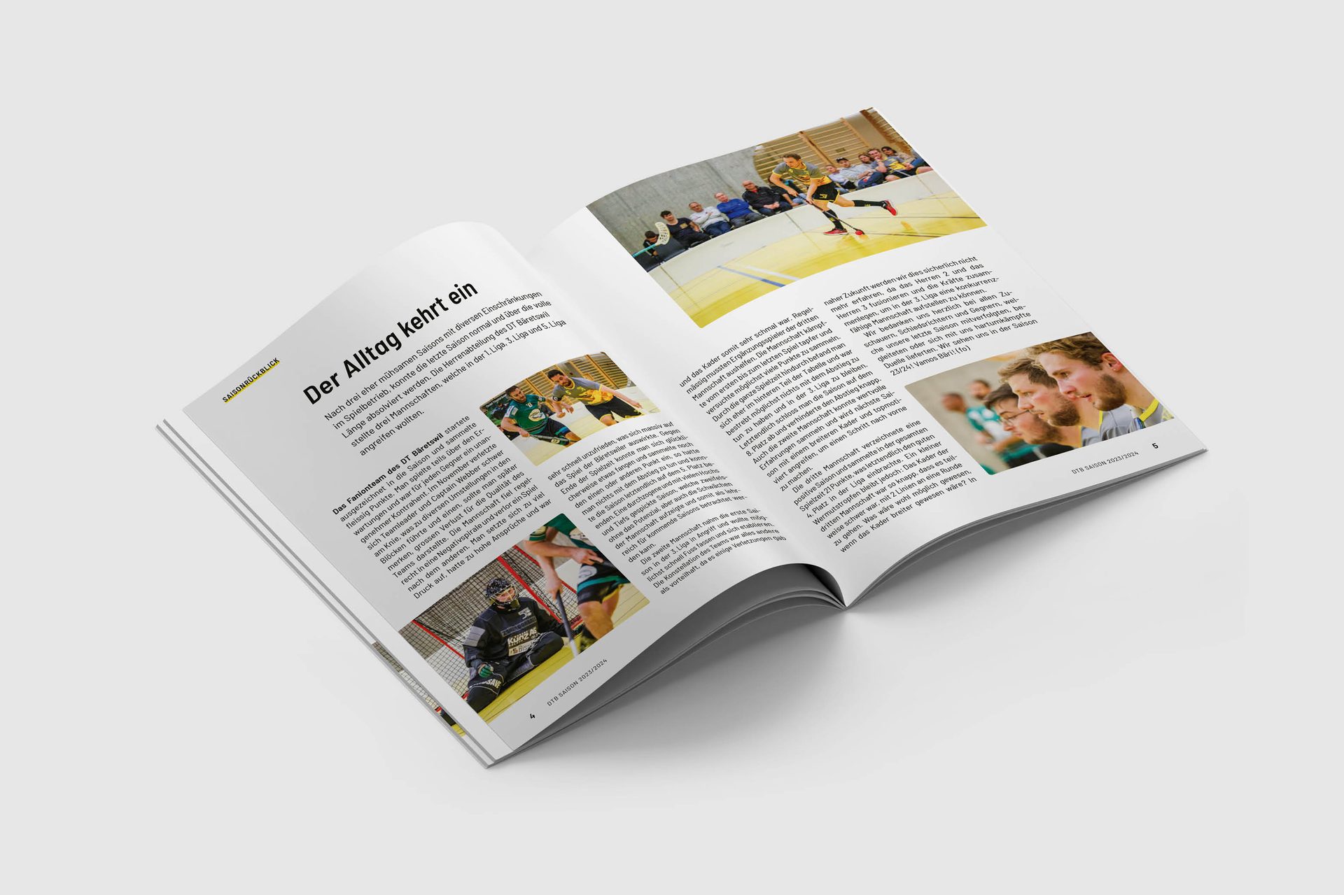 DT Bäretswil – Magazin – Projektansicht 2