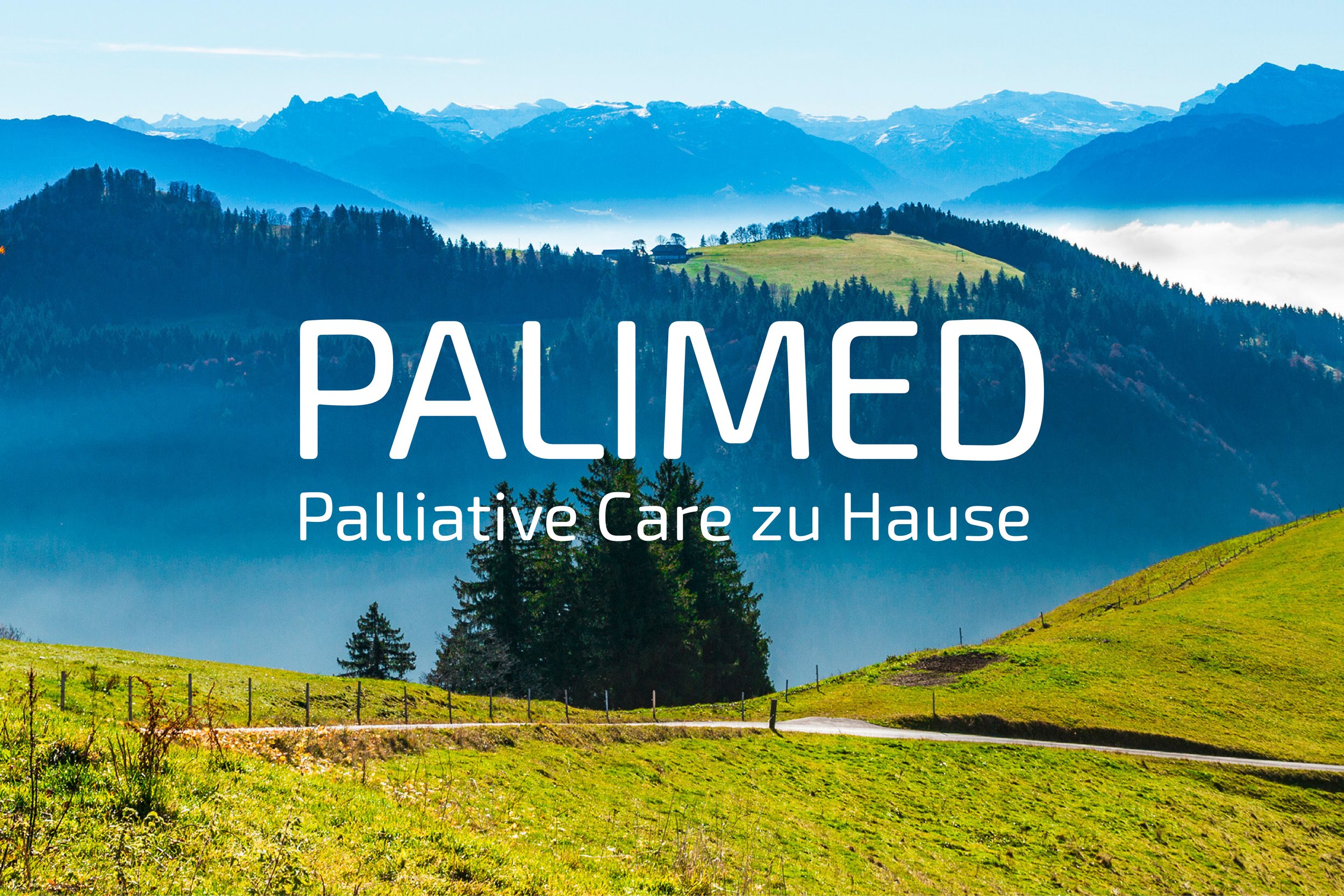 Palimed